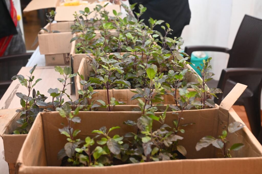 WhatsApp Image 2025-07-24 at 1.52.56 PM